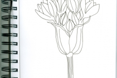 marta-flower